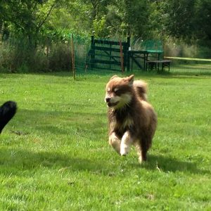 Nunna in training/ play group